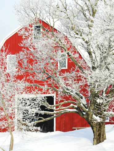 Where in Maine February 2020