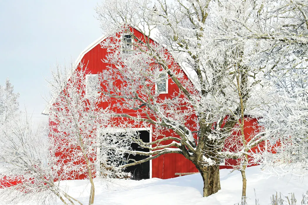 Where in Maine February 2020