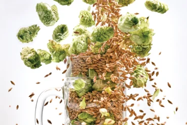 Aroostook County beer made with local hops and barley