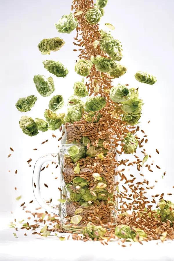 Aroostook County beer made with local hops and barley