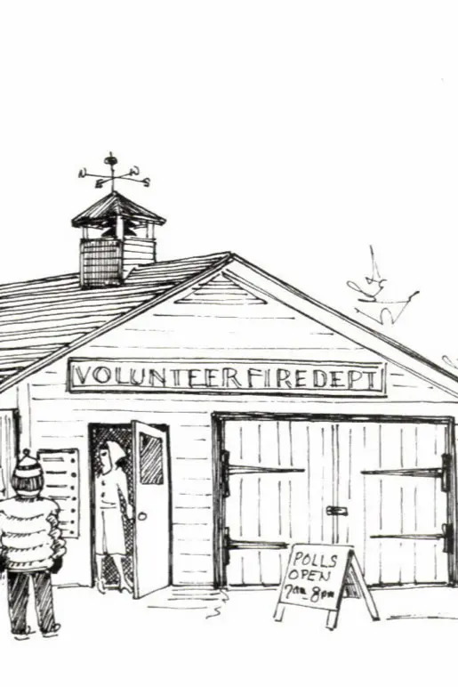 Maine Voter illustration