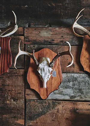 How to Build a Game of Thrones Goat
