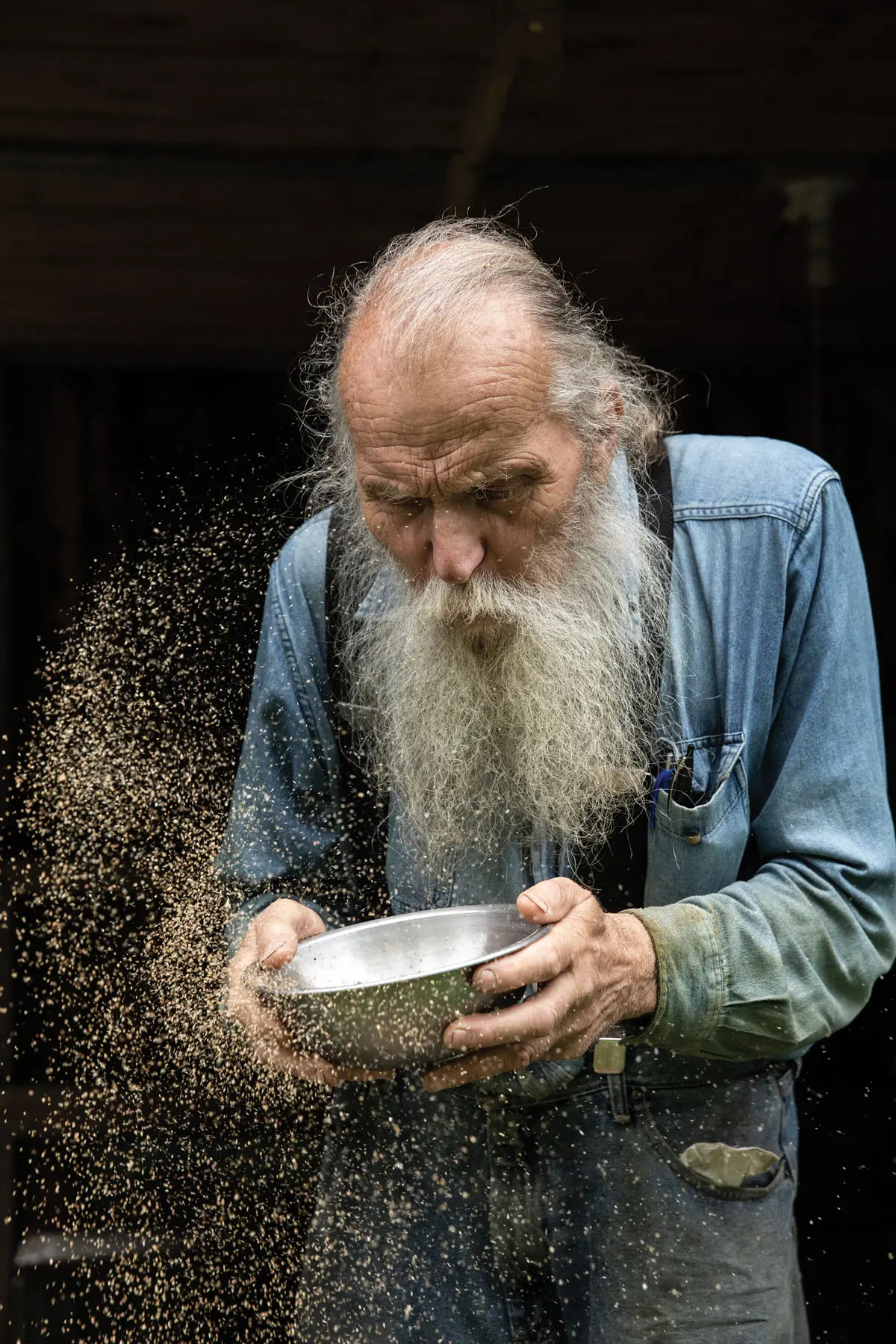 Will Bonsall and his heirloom seeds