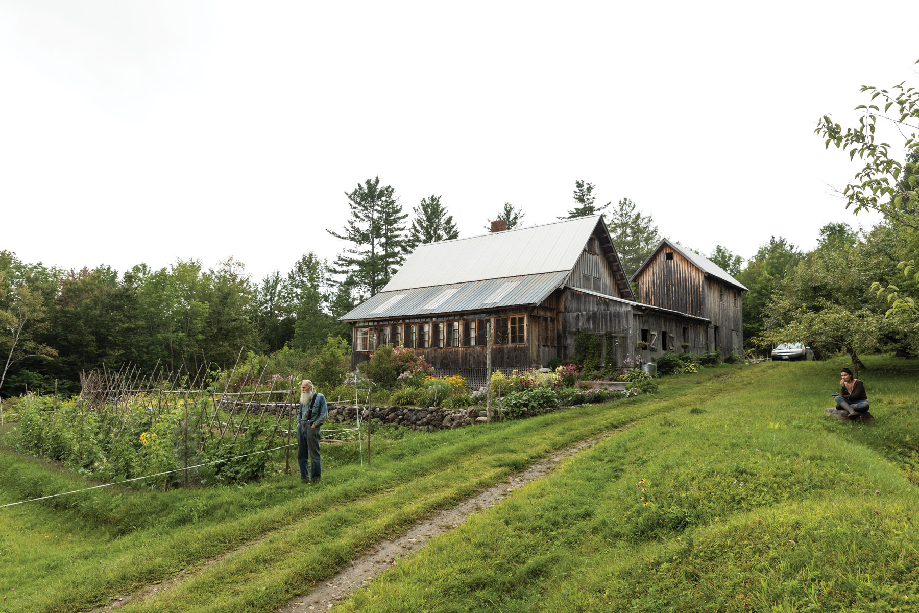 Will Bonsall's heirloom garden