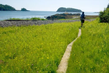 Nature Walk, Lubec, Maine