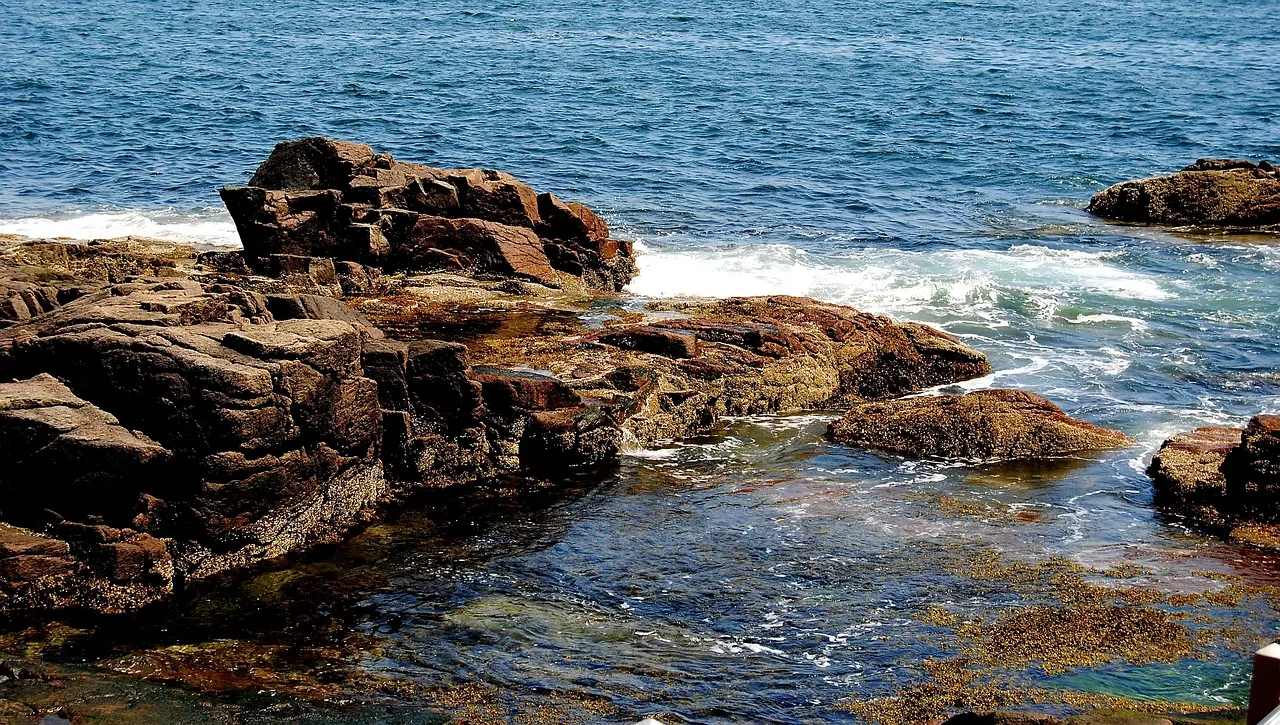 Maine coast