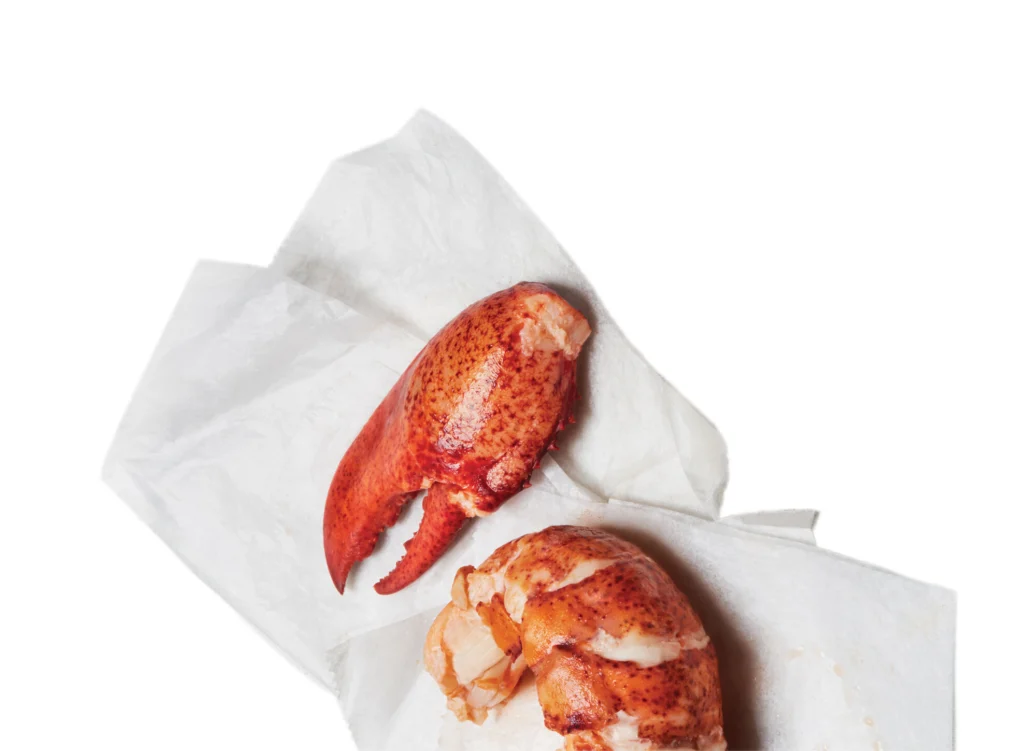 Maine Lobster