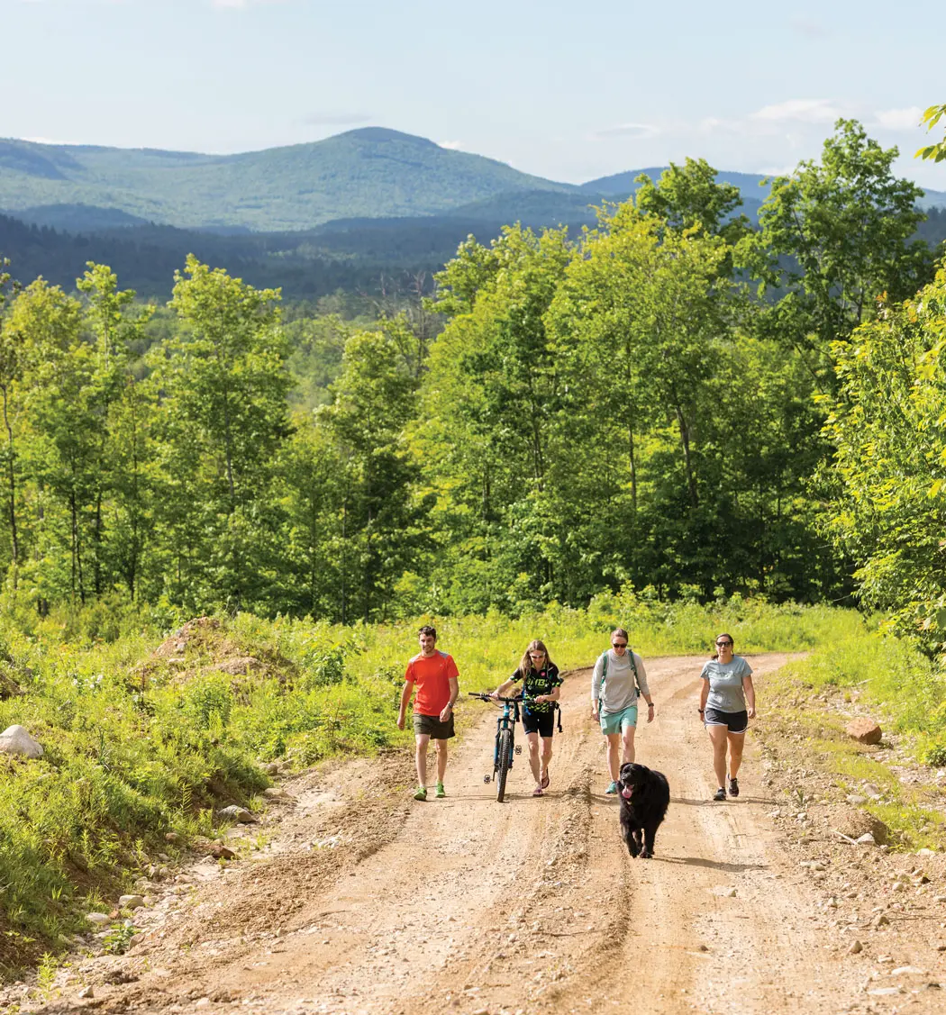 community forests in maine