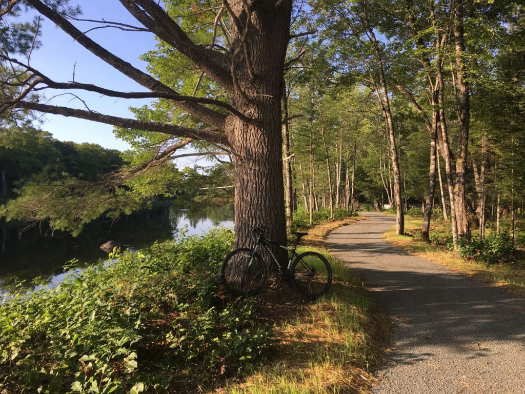 Penobscot River Trails