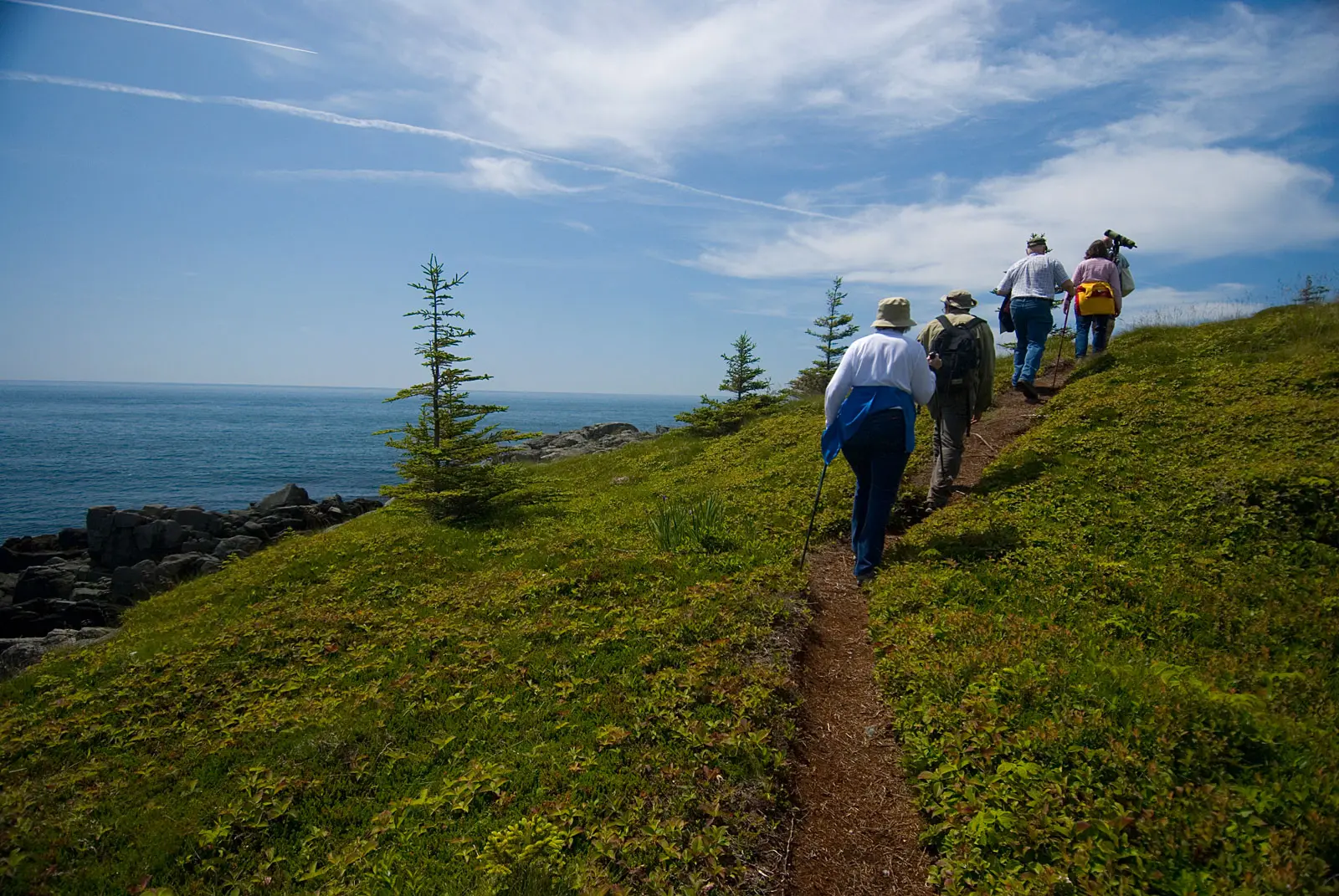 Nature walks Lubec, Maine
