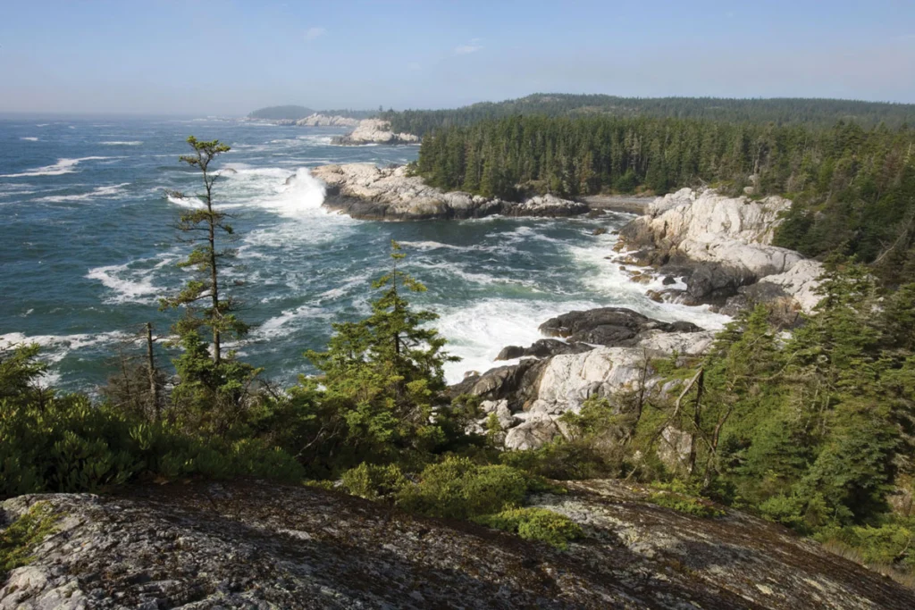 Squeaker Cove