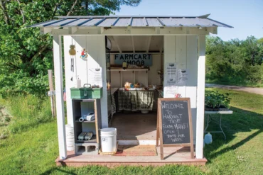 Maine farm stands