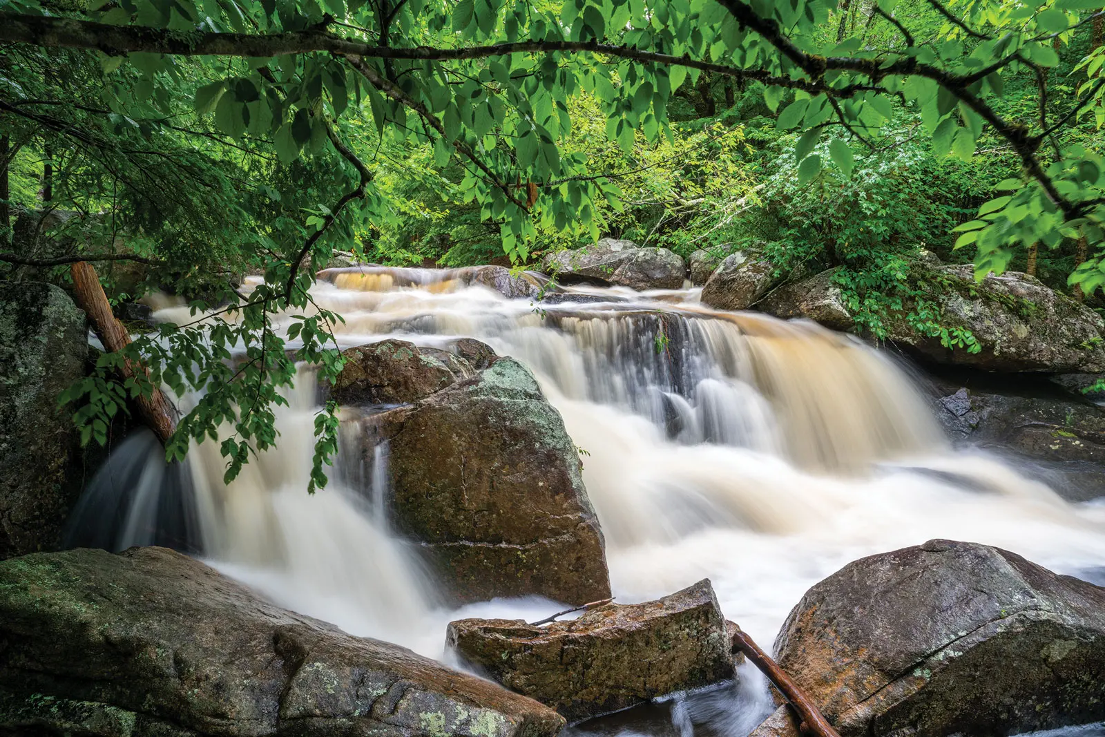 Big Falls Preserve, New Gloucester