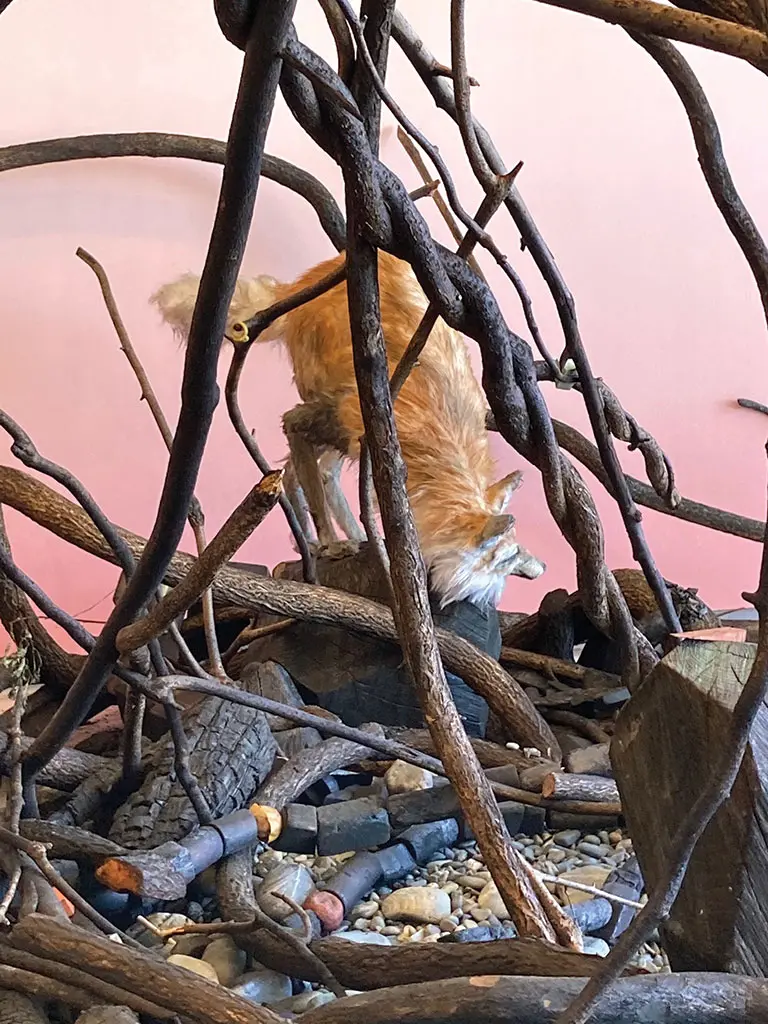 Andy Rosen, Standing/Crouching Fox, wood/upholstery foam/faux fur, 13x37x15 in., courtesy of artist
