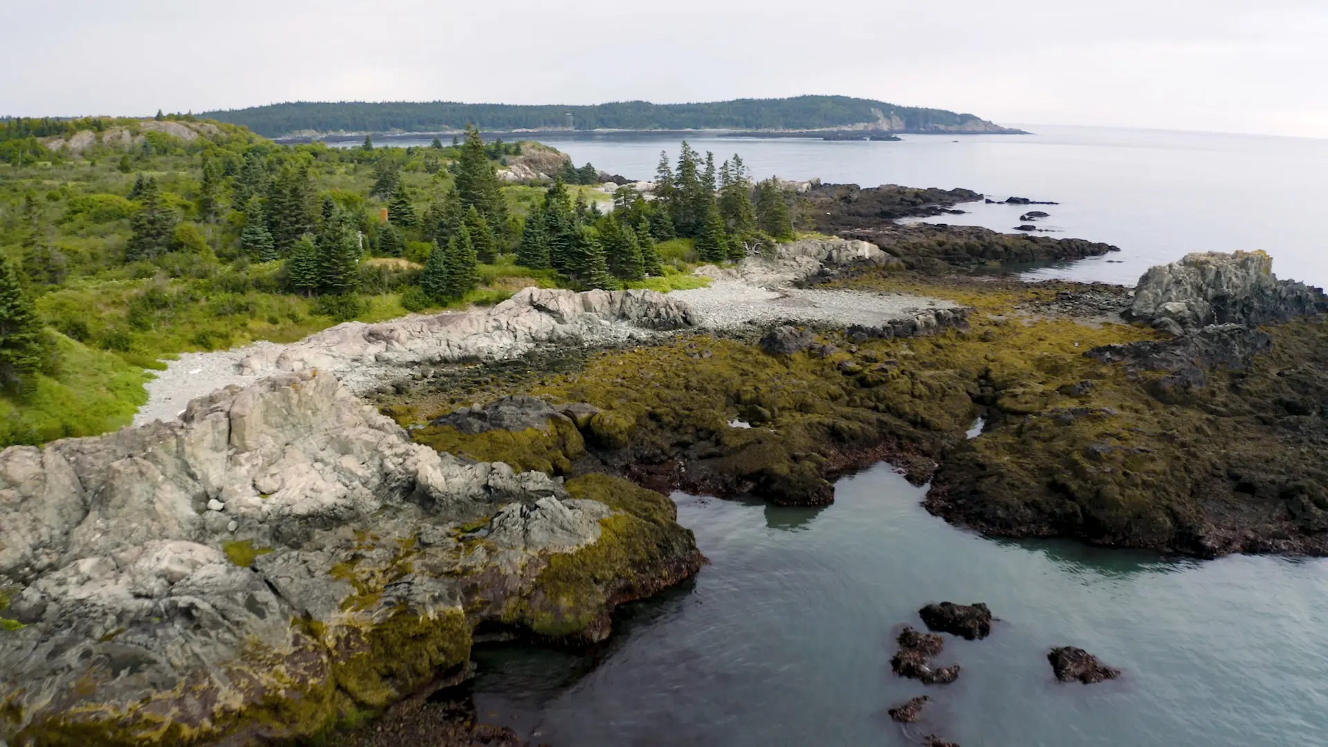 Bog Brook Cove