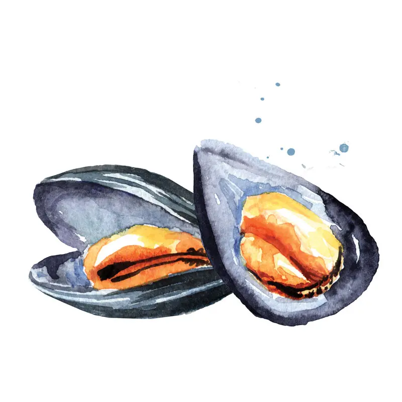 Mussels