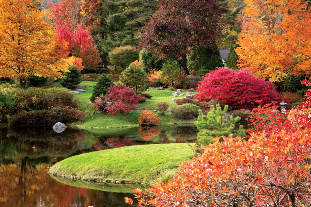 Northeast Harbor’s Asticou Azalea Garden, one of three historic gardens maintained by MDI’s Land & Garden Preserve, offers a more manicured autumn stroll.