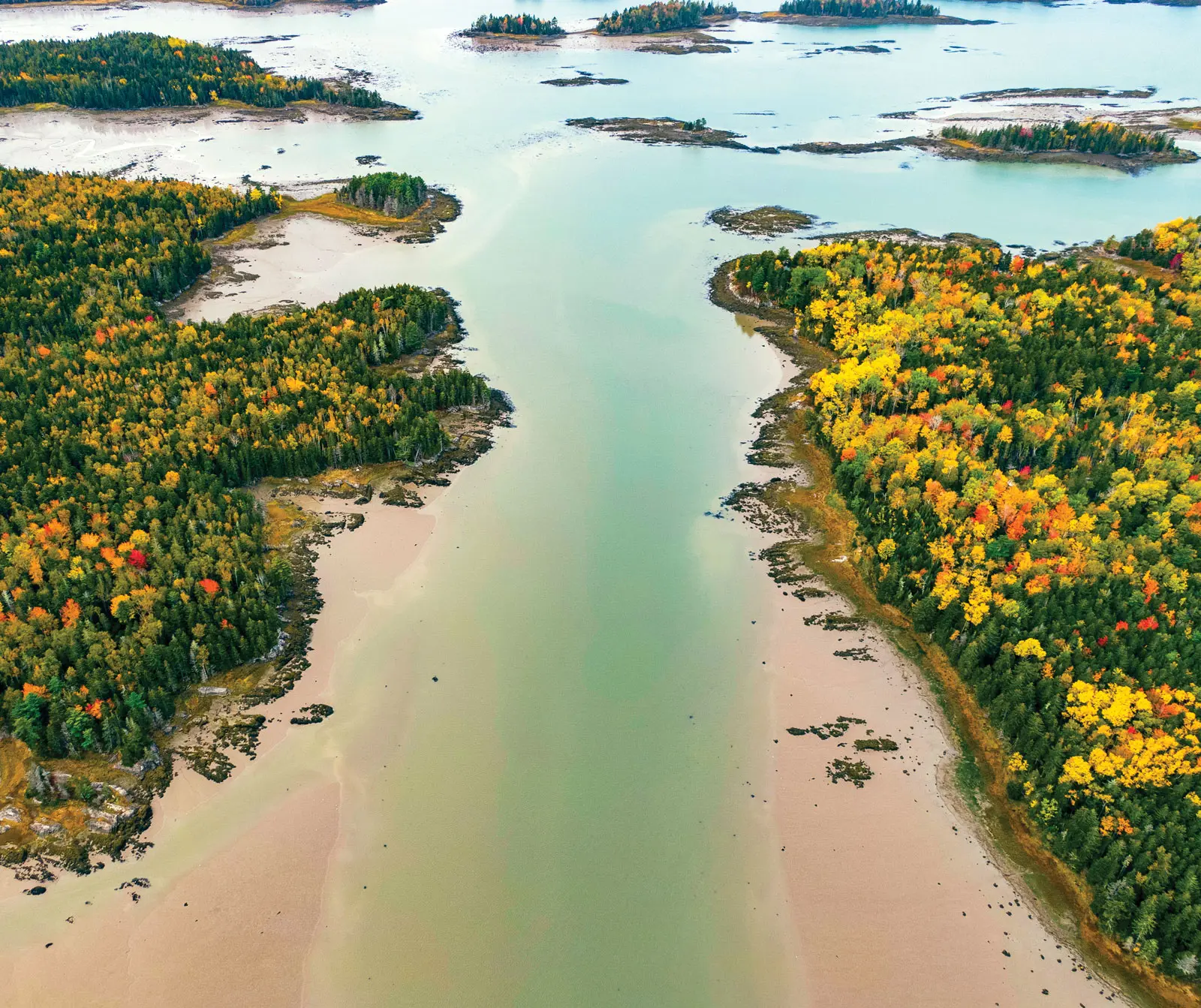 Cobscook Bay