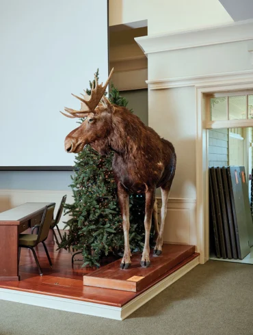 Bull market: A male and female taxidermy moose sold for $4,500 and $1,600, respectively. Their new home is the Lobster Pound, in nearby Lincolnville Beach.