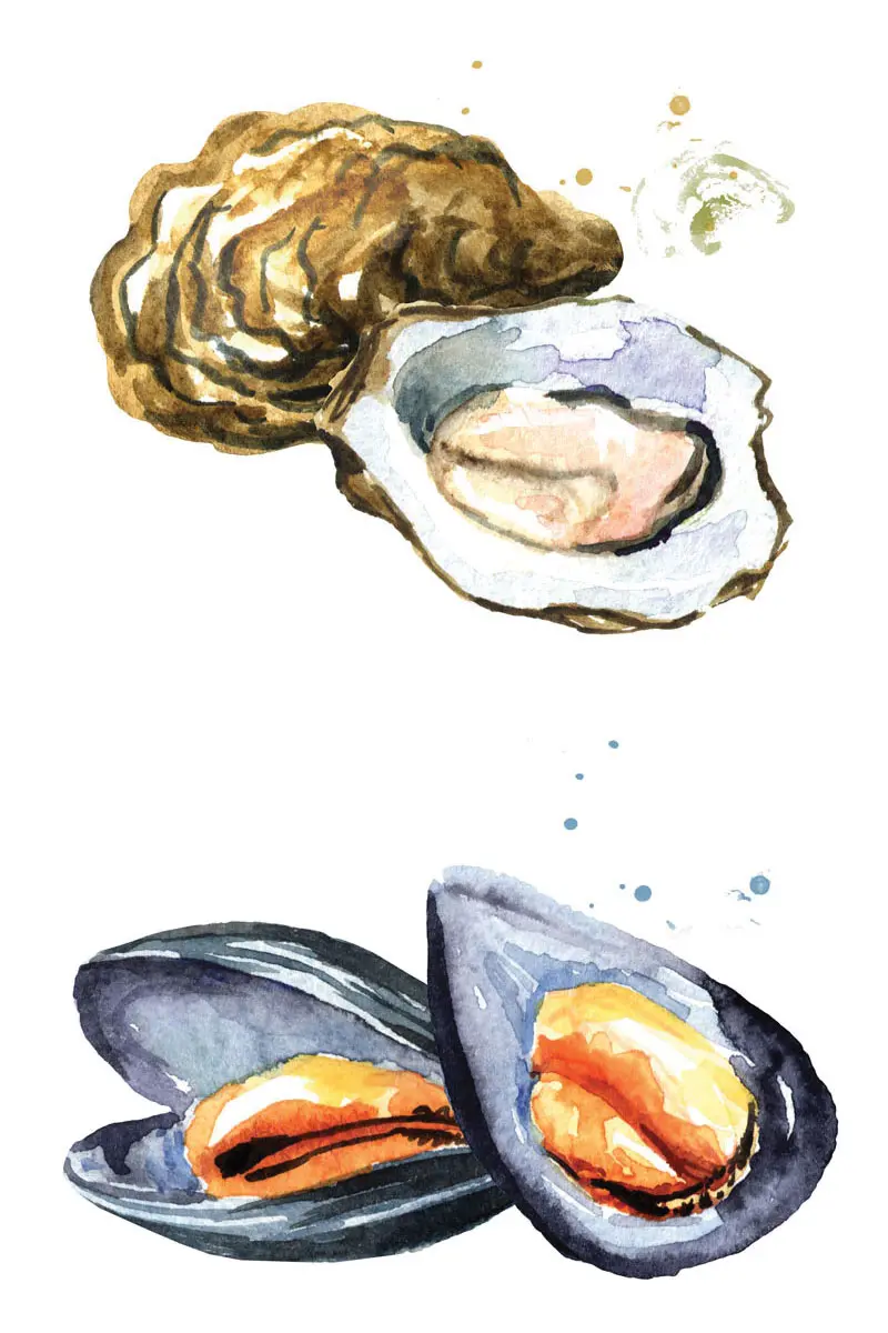 Oysters vs mussels