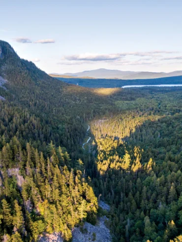 Greenlaw Mountain