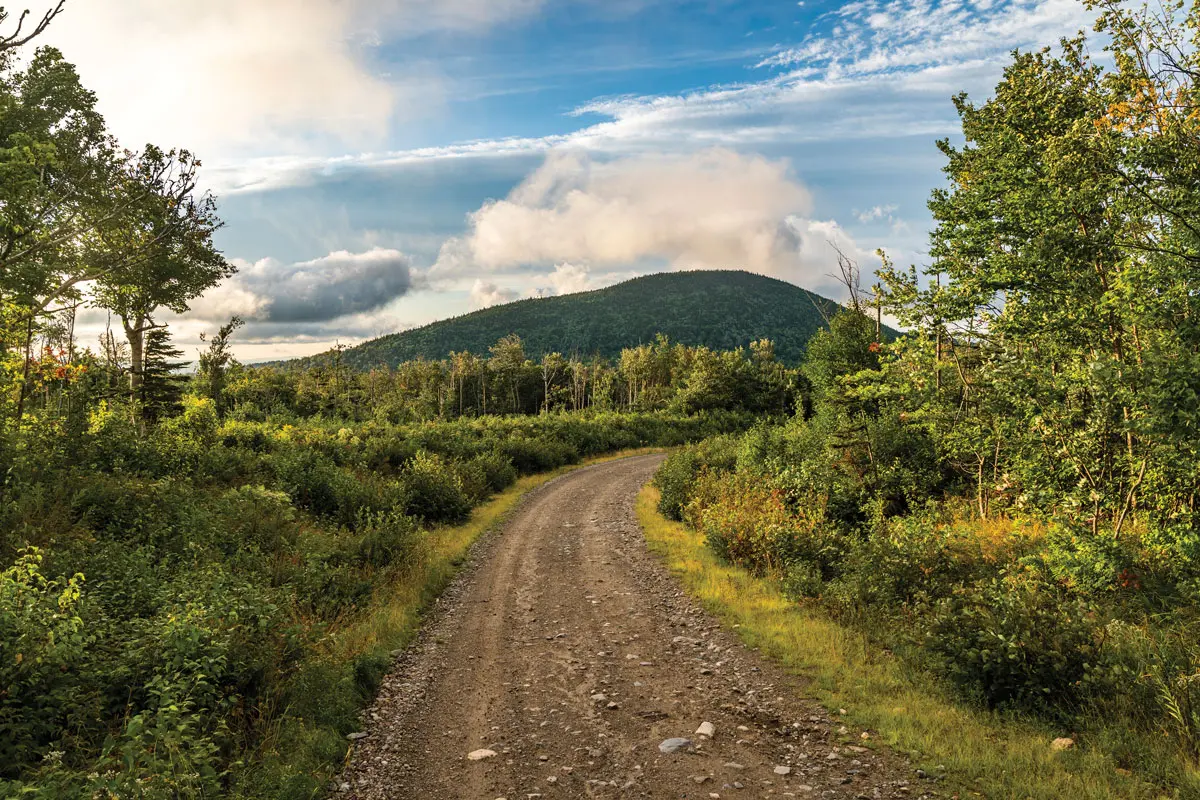 Logging road