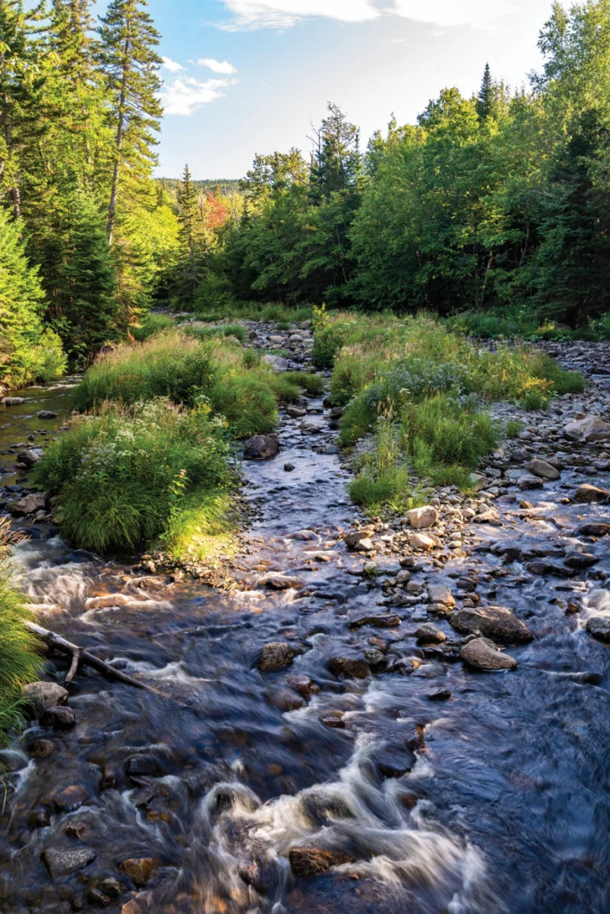 South Branch Moose River