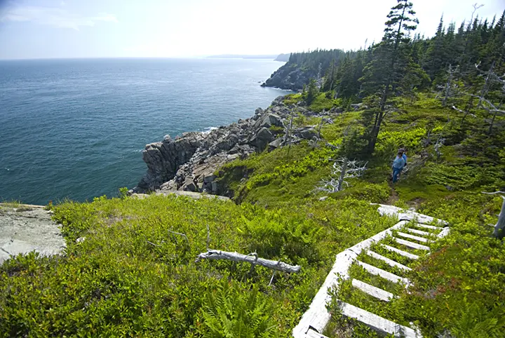 Boot Head Preserve, Lubec, a Maine Coast Heritage Trust preserve