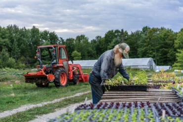 Snakeroot Organic Farm