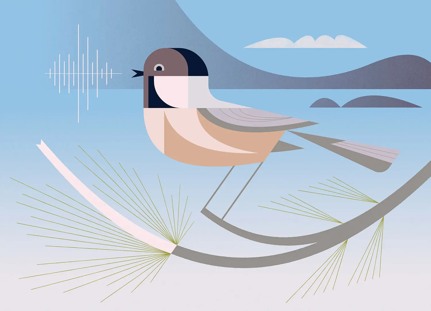Chickadee Dee Dee