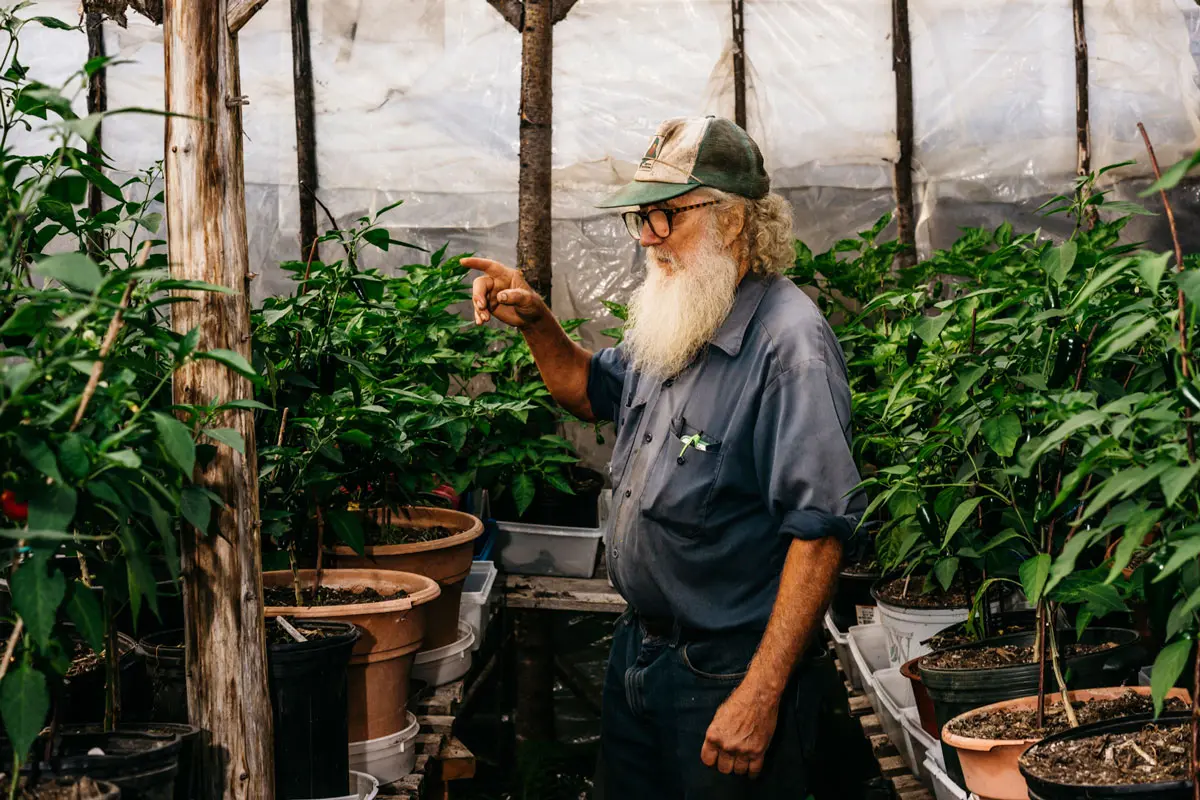 Snakeroot Organic Farm