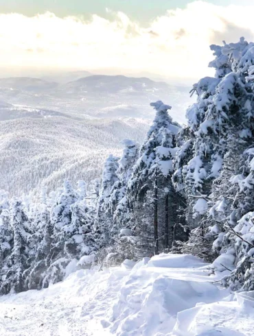 Coburn Mountain, David Whitney's favorite Maine place