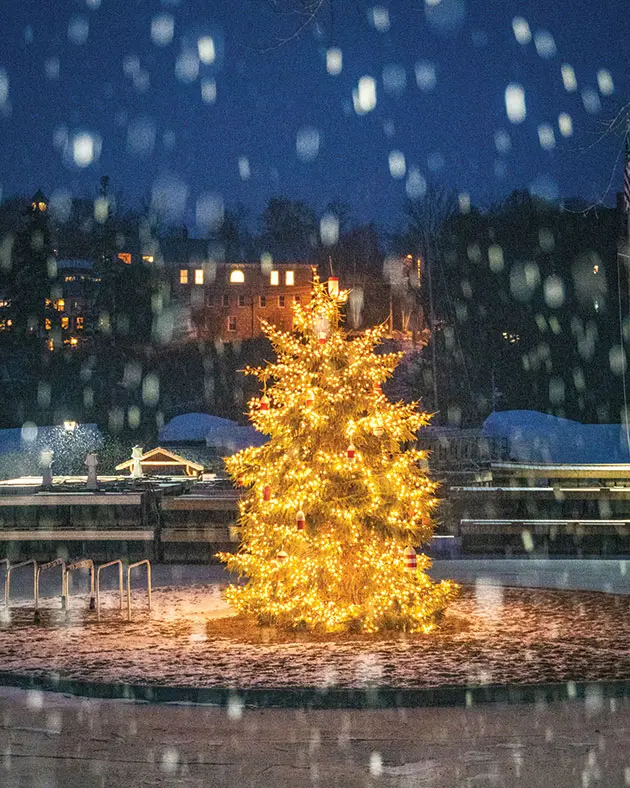 The Rockport Harbor Christmas tree