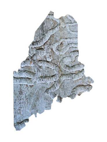 Maine Dispatches