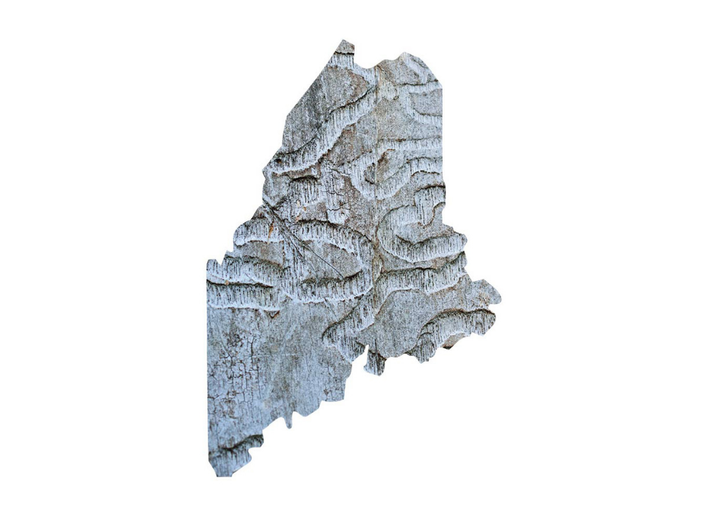 Maine Dispatches