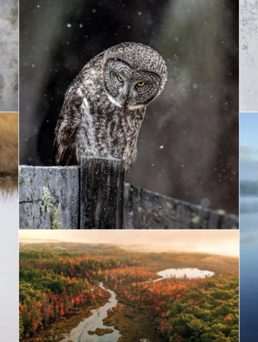 Down East's 6th Annual Reader Photo Contest
