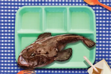 fish on school lunch tray