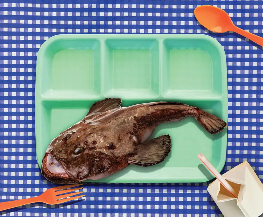 fish on school lunch tray