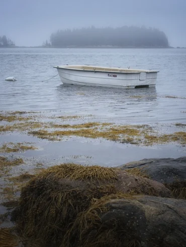 foggy day on the coast