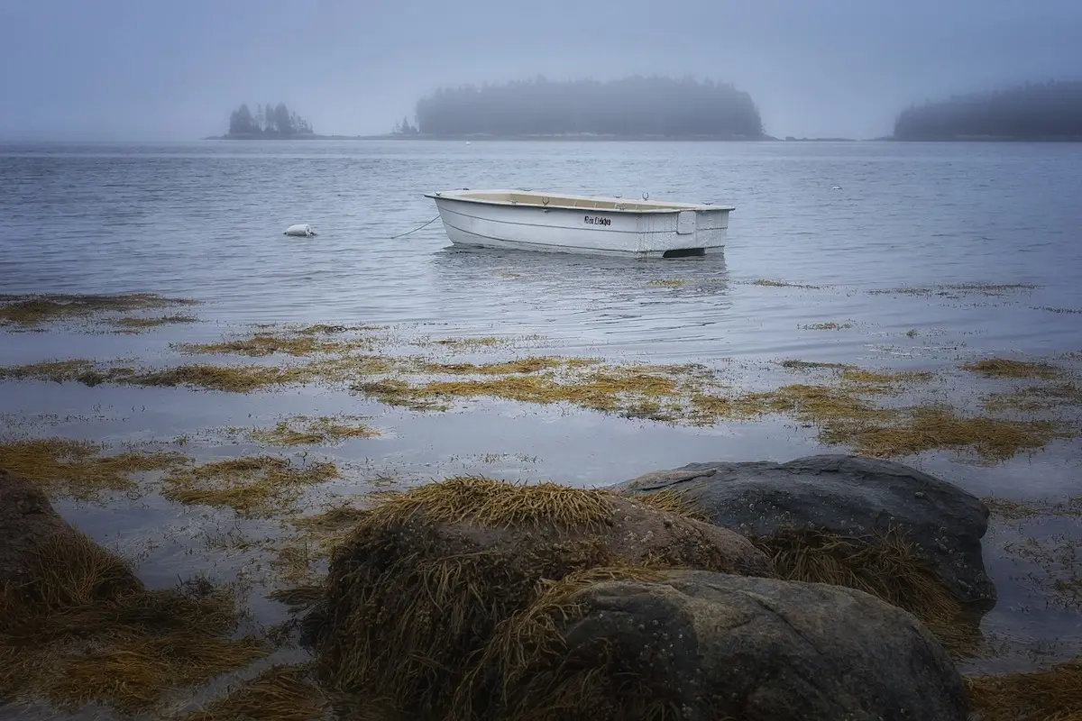 foggy day on the coast