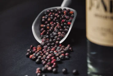 Jigger and Jones Gin by Devil's Half Acre Distillery