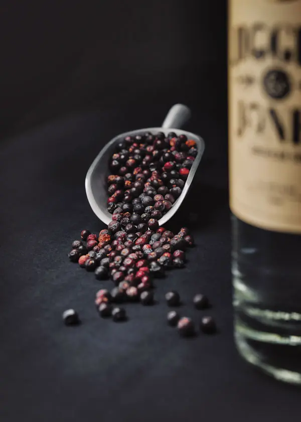 Jigger and Jones Gin by Devil's Half Acre Distillery