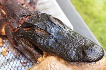 A smoked alligator biting a smoked fish at last year's Beast Feast in Bridgton, Maine