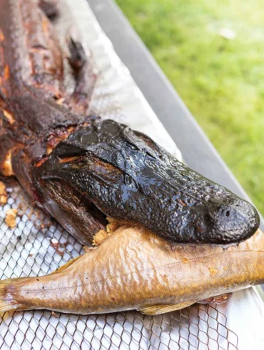 A smoked alligator biting a smoked fish at last year's Beast Feast in Bridgton, Maine