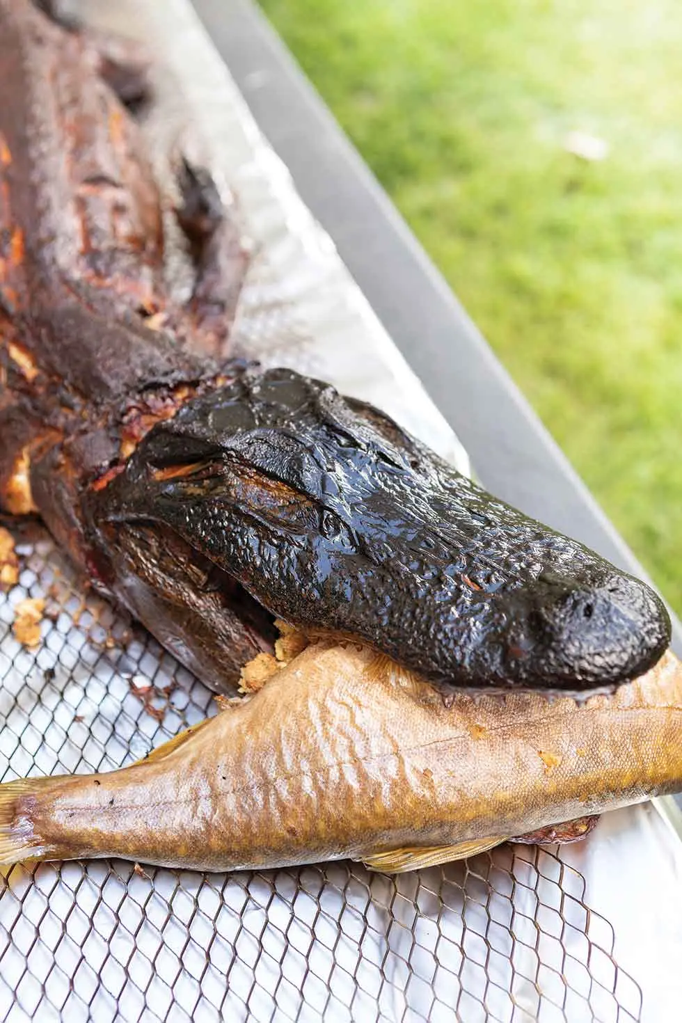 A smoked alligator biting a smoked fish at last year's Beast Feast in Bridgton, Maine