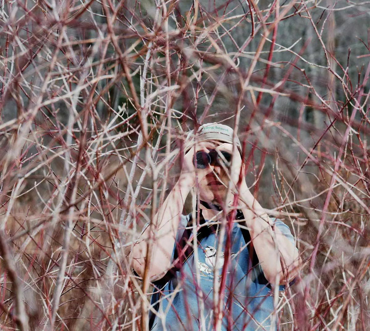 Seventeen-year-old birding whiz Matthew Gilbert sees what he can see in the wetlands surrounding Freeport’s Florida Lake.