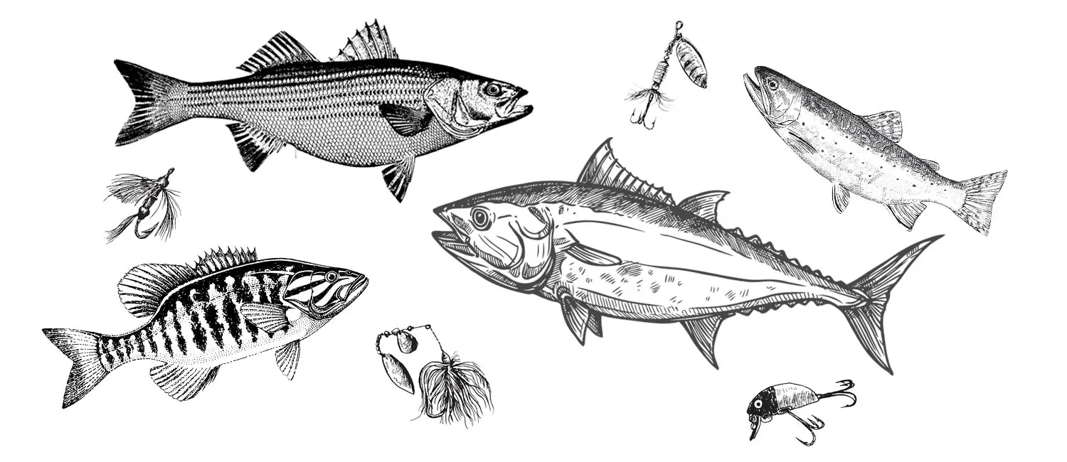 Five Maine Fishing Experiences to Have Before You Die | Down East Magazine