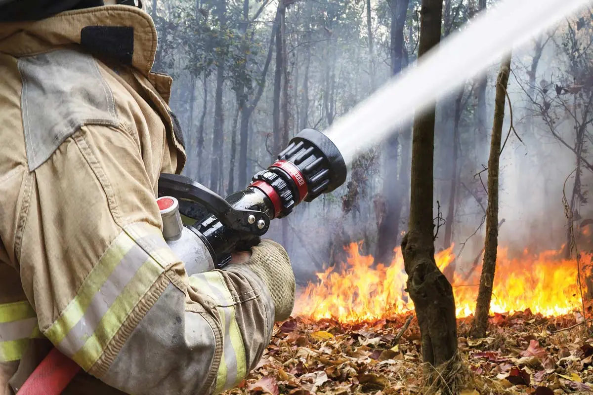 What Does the Future Hold for Maine and Wildfire?