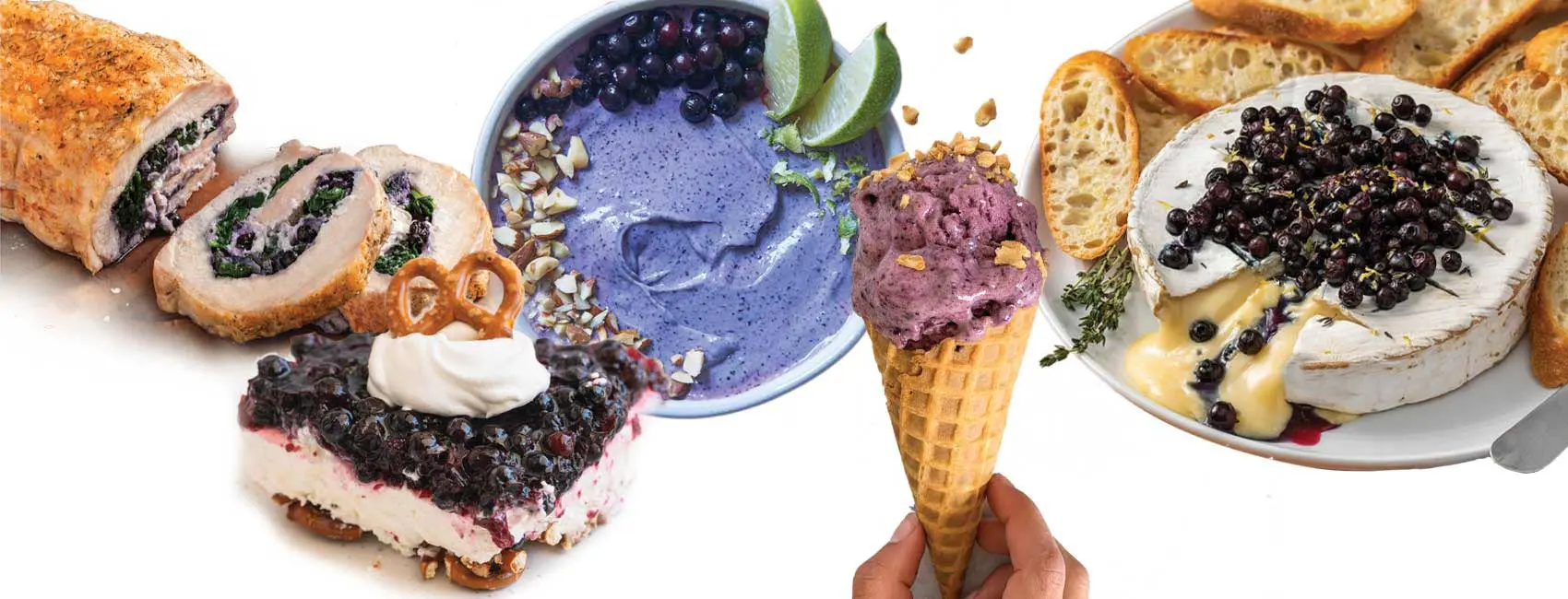 Foods that contain Wyman's wild blueberries