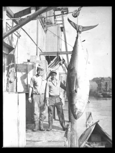 Mainers with a bluefin, circa 1935, from a Portland Press Herald glass negative.
